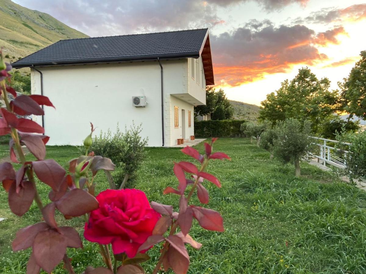 שקודר Xhuli Guesthouse מראה חיצוני תמונה
