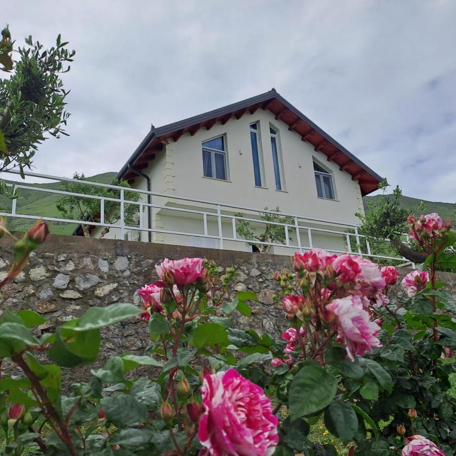 שקודר Xhuli Guesthouse מראה חיצוני תמונה