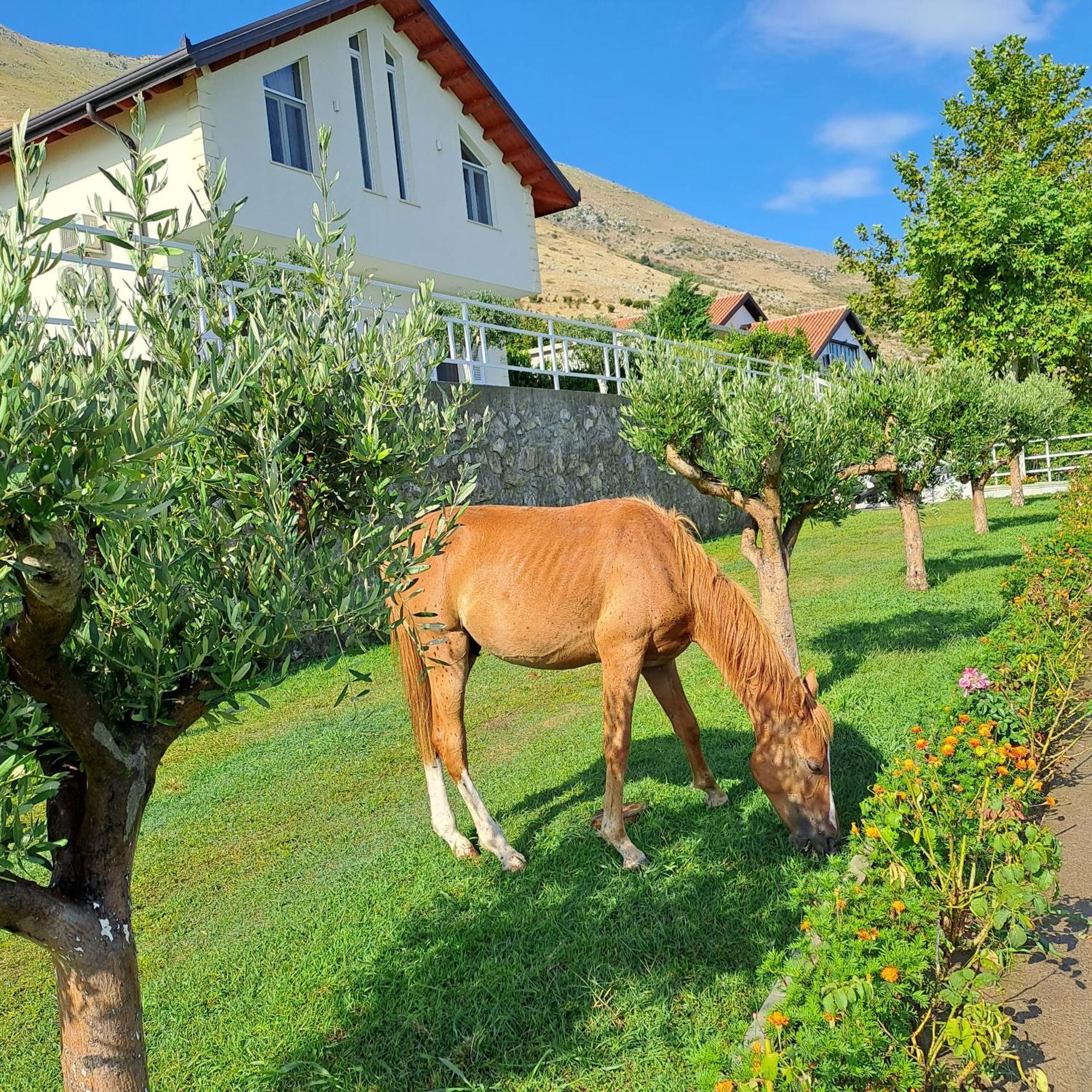 שקודר Xhuli Guesthouse מראה חיצוני תמונה